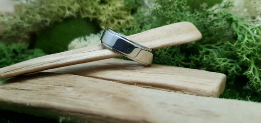Bannock Burn Stainless Steel Polished Ring image 1