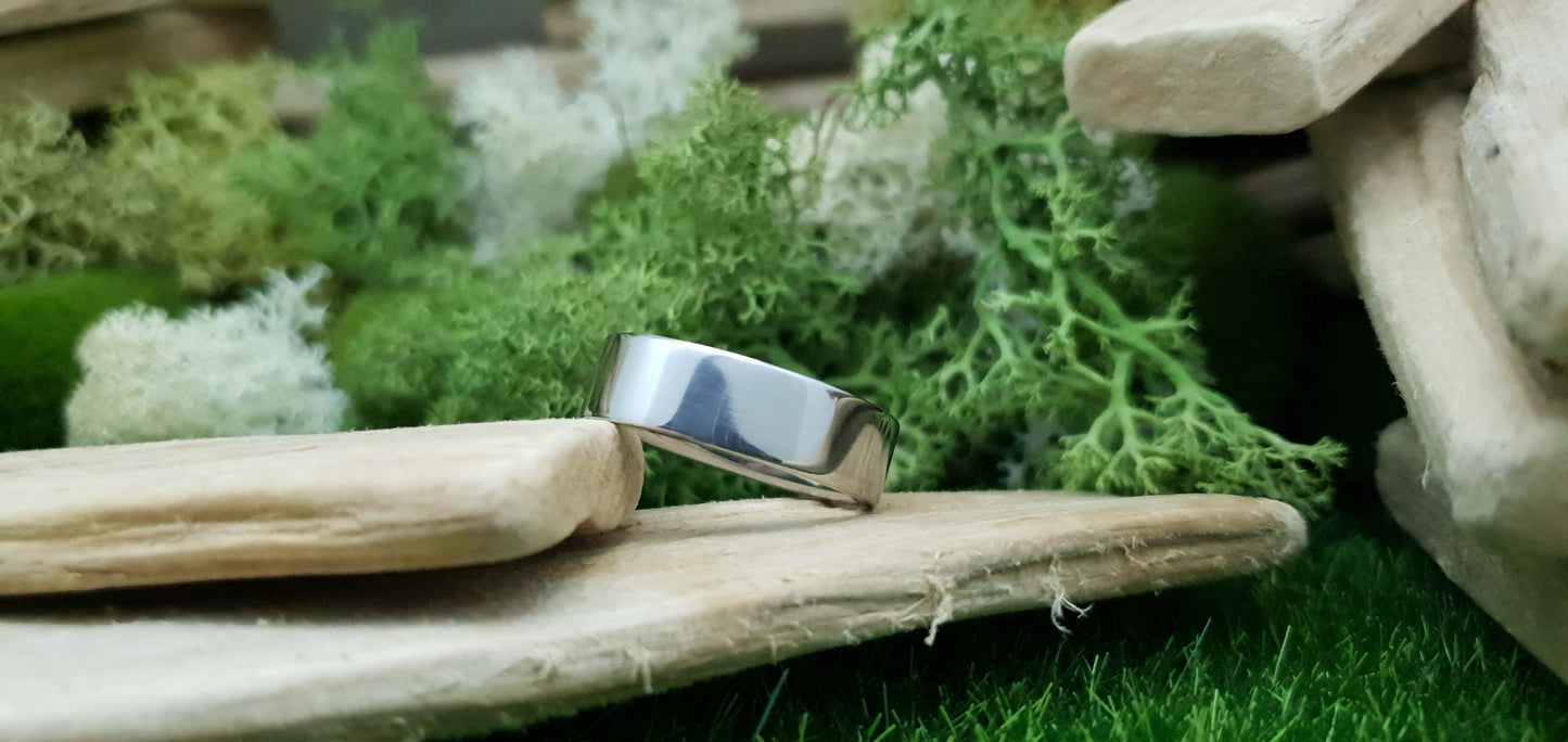 Stainless Steel Polished Flat Ring image 1
