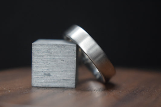 Stainless Steel Satin Flat Ring