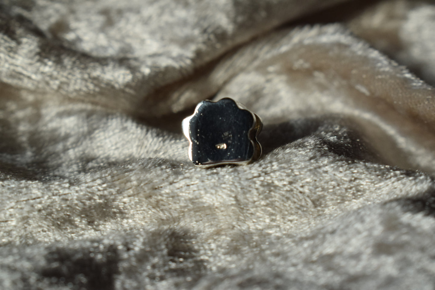 Pandora-style silver charm with paw print design and ashes inside
