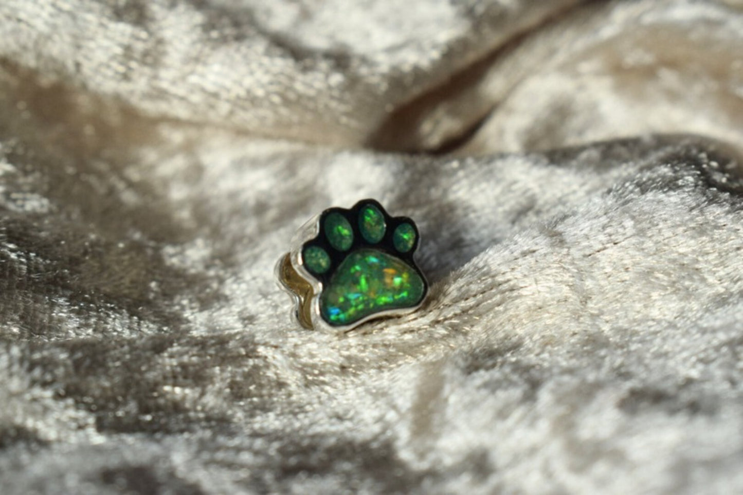 Pandora-style silver charm with paw print design and ashes inside