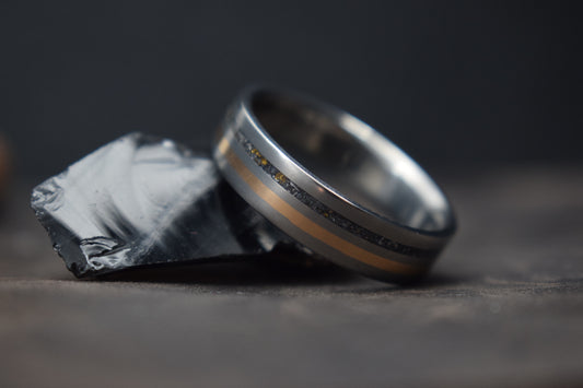 Titanium, Meteorite & Precious Metal Inlay Ring
