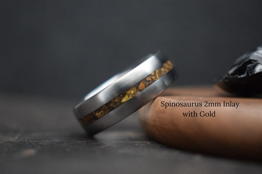 Titanium Dinosaur Fossil Inlay Ring