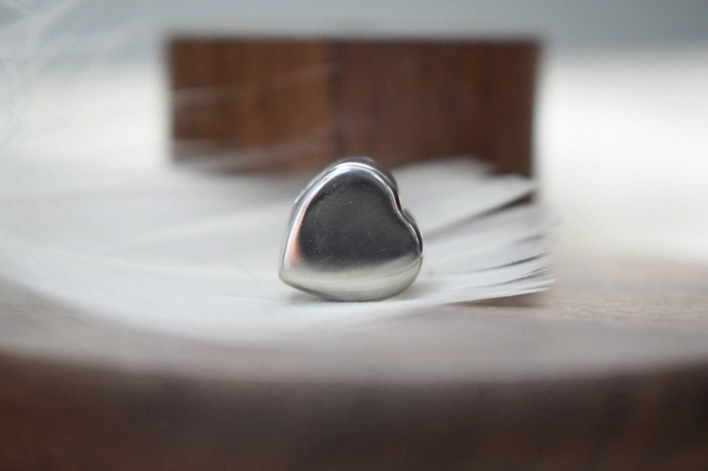 Pandora Style CZ Heart Memorial Charm