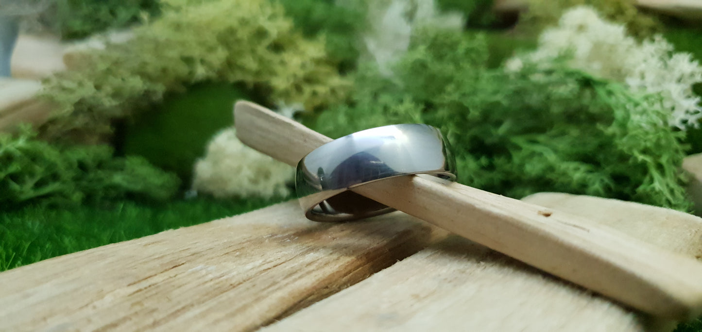 Titanium Polished Court Shape Ring