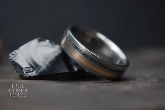 Titanium, Meteorite & Precious Metal Inlay Ring - True North Forge