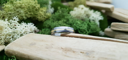 Falls of Feugh 18K Yellow Gold Titanium Inlay Ring image 1