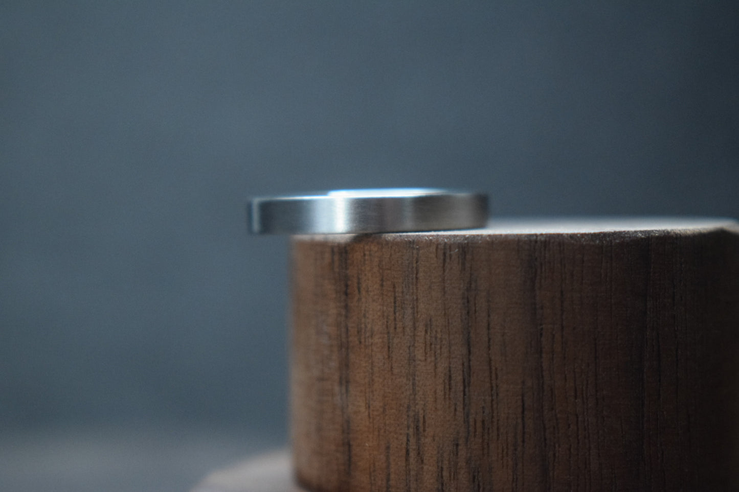 Slim Titanium Satin Flat Shape Ring