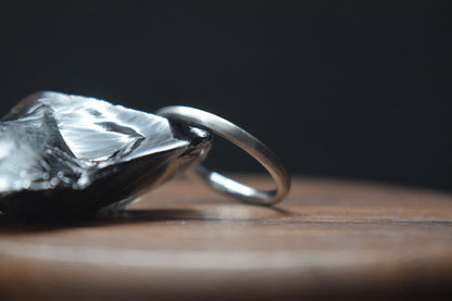 Slim Titanium Satin Court Shape Ring