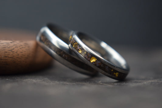 Titanium Dinosaur Fossil Inlay Ring