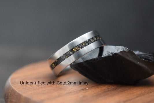 Titanium Dinosaur Fossil Inlay Ring