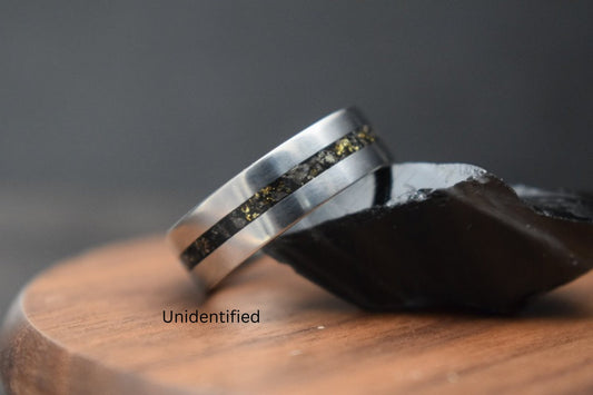 Titanium Dinosaur Fossil Inlay Ring with Gold Accents
