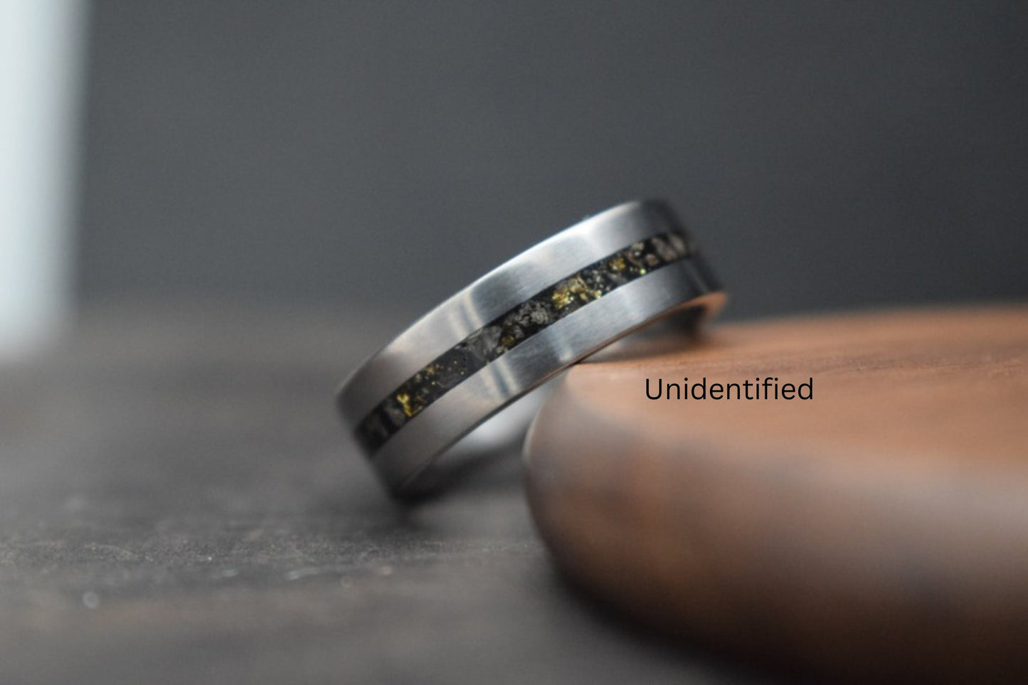 Titanium Dinosaur Fossil Inlay Ring with Gold Accents