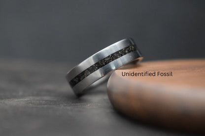 Titanium Dinosaur Fossil Inlay Ring