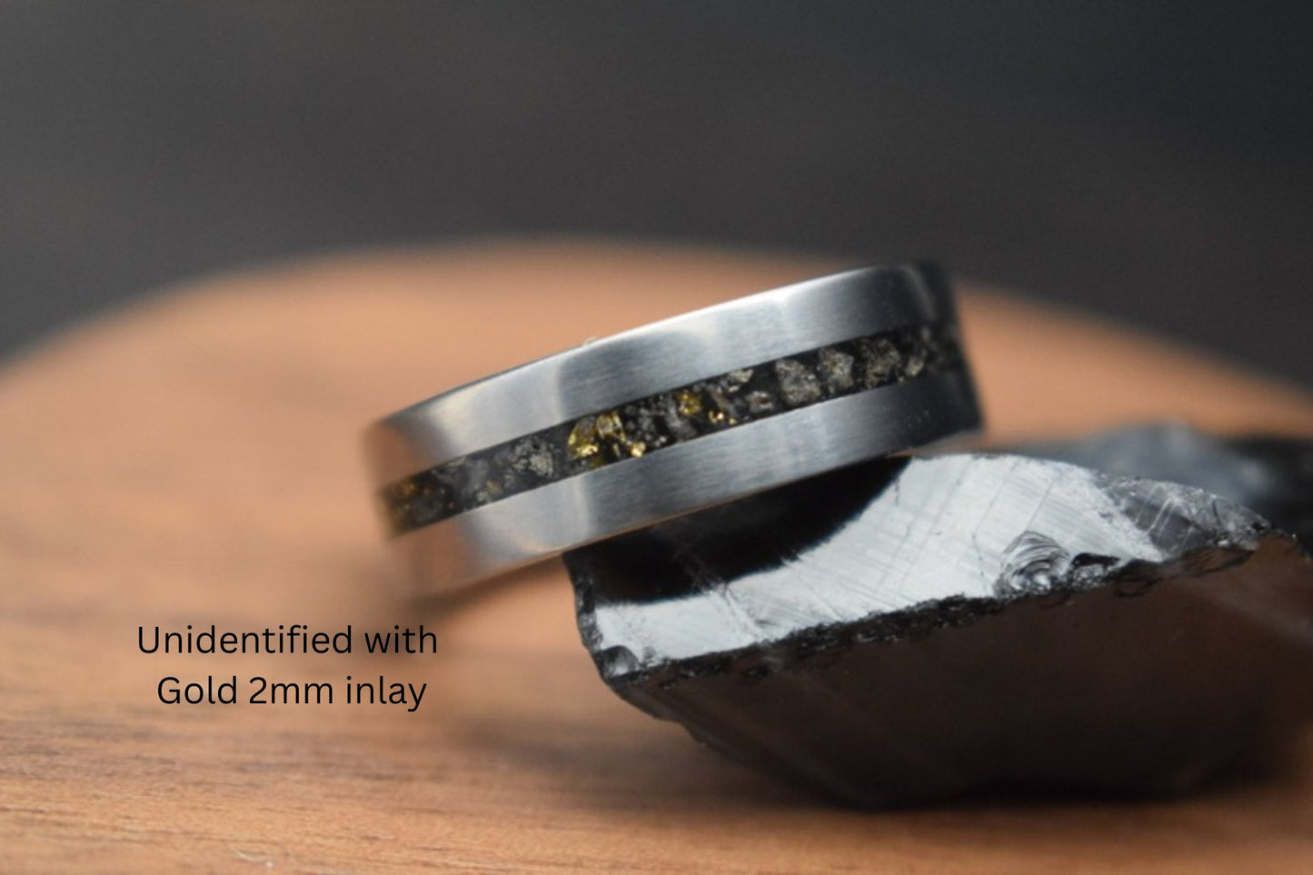 Titanium Dinosaur Fossil Inlay Ring