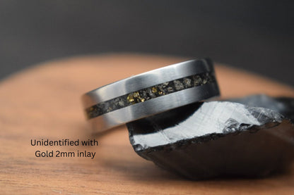 Titanium Dinosaur Fossil Inlay Ring
