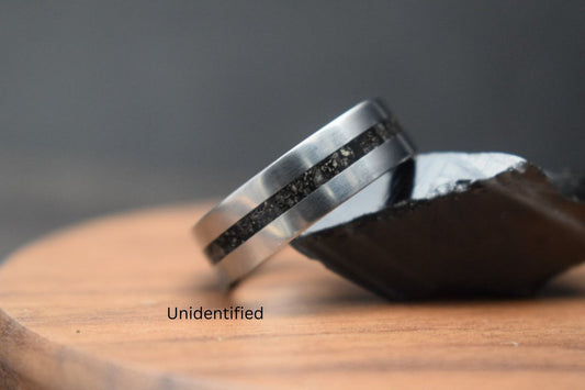 Titanium Dinosaur Fossil Inlay Ring