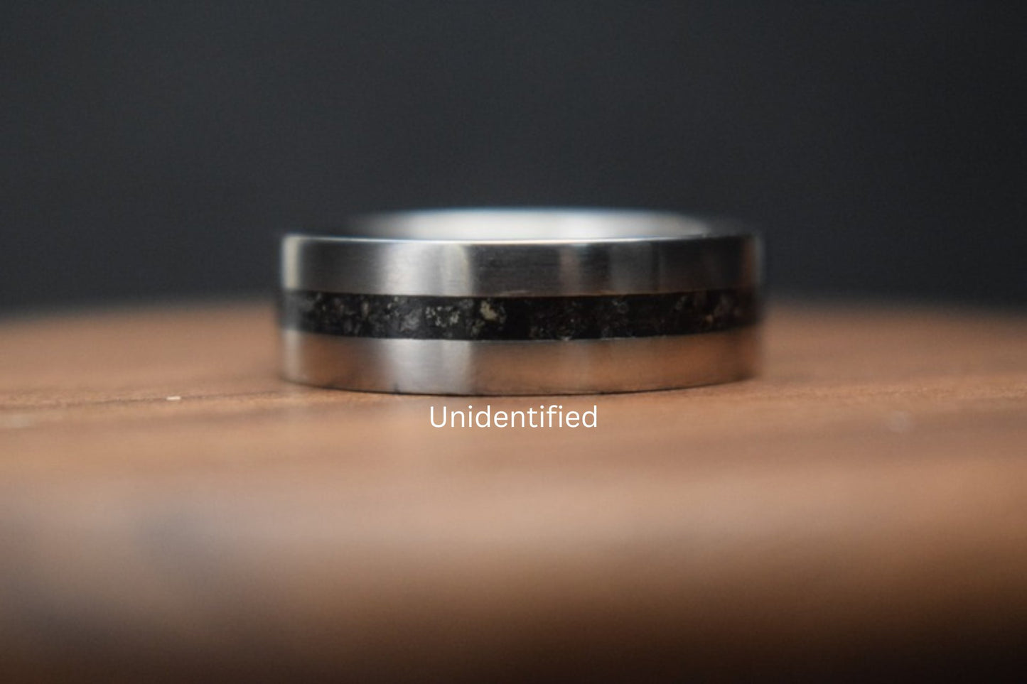 Titanium Dinosaur Fossil Inlay Ring