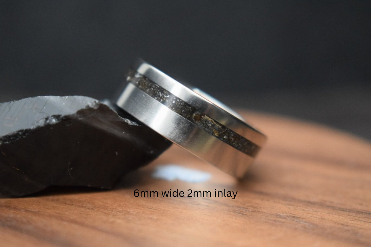 Titanium Meteorite Inlay Ring - True North Forge