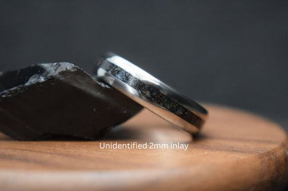 Titanium Dinosaur Fossil Inlay Ring
