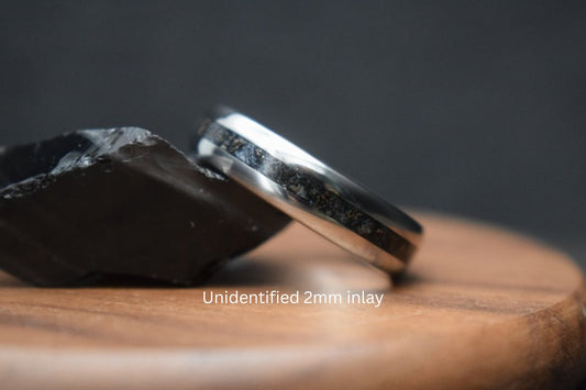 Titanium Dinosaur Fossil Inlay Ring