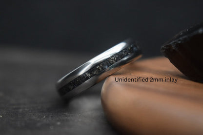 Titanium Dinosaur Fossil Inlay Ring