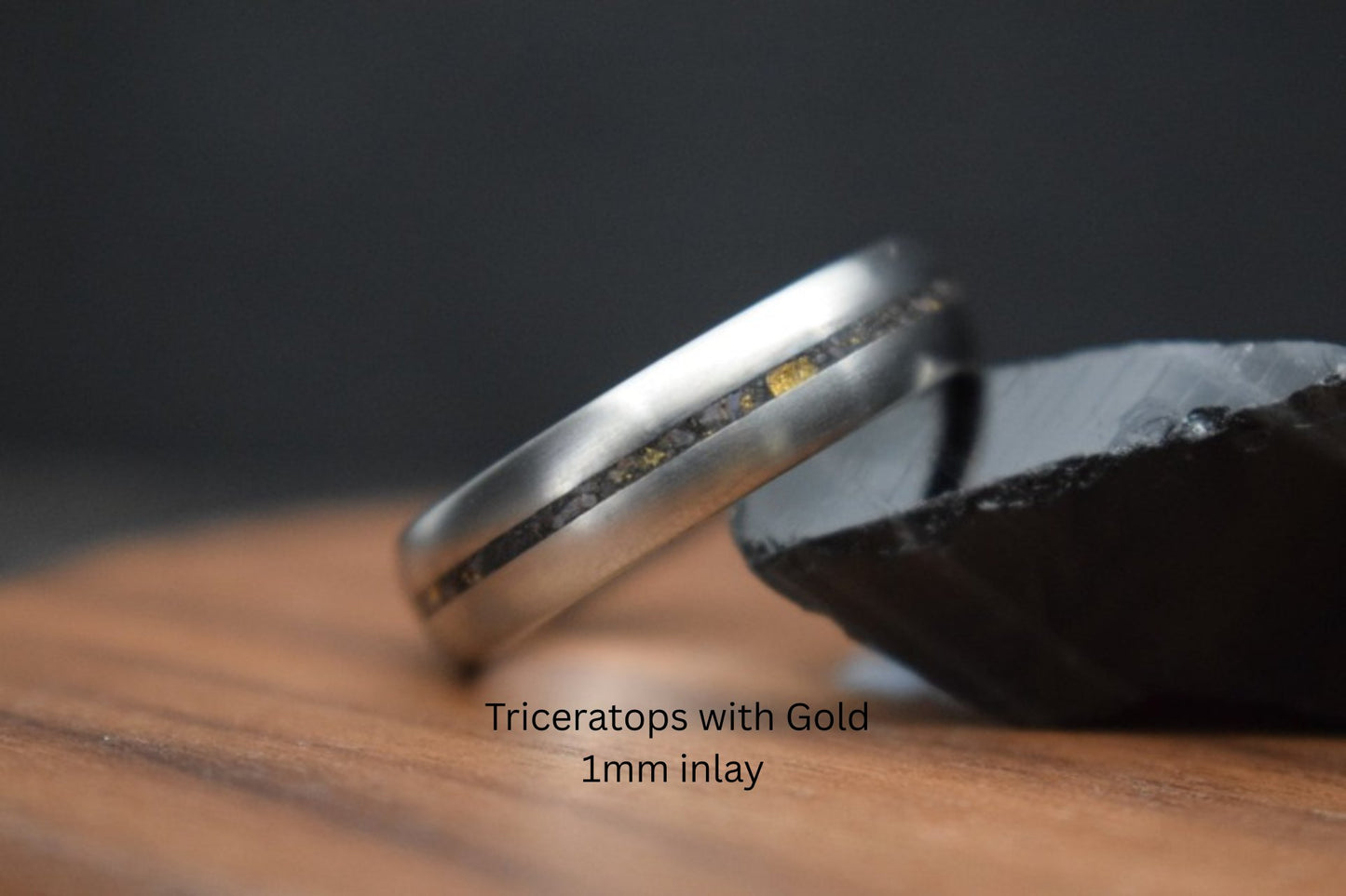 Titanium Dinosaur Fossil Inlay Ring