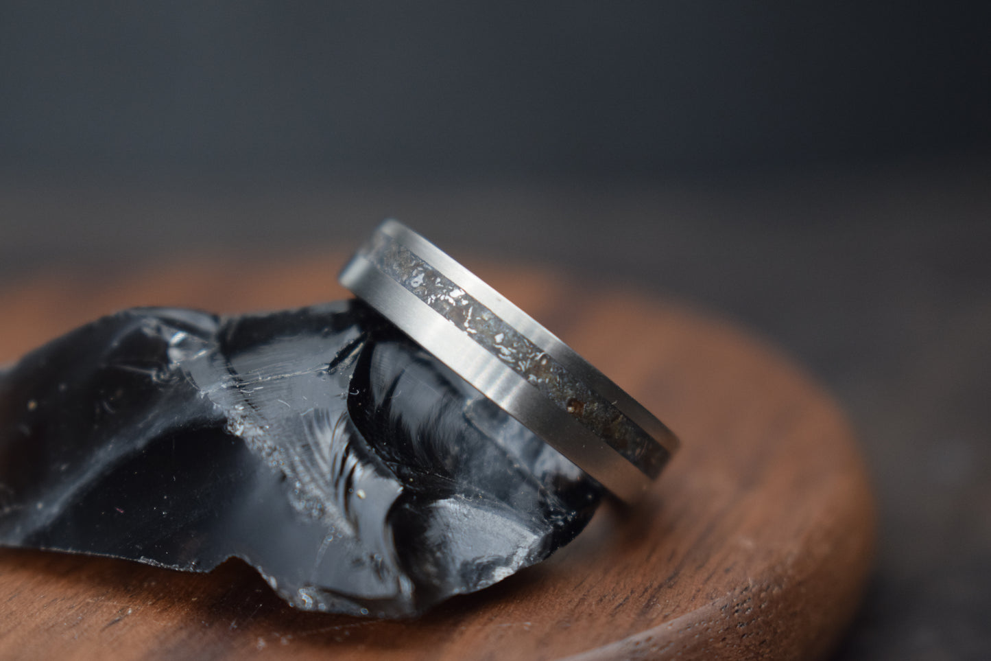 Titanium Meteorite Inlay Ring - True North Forge