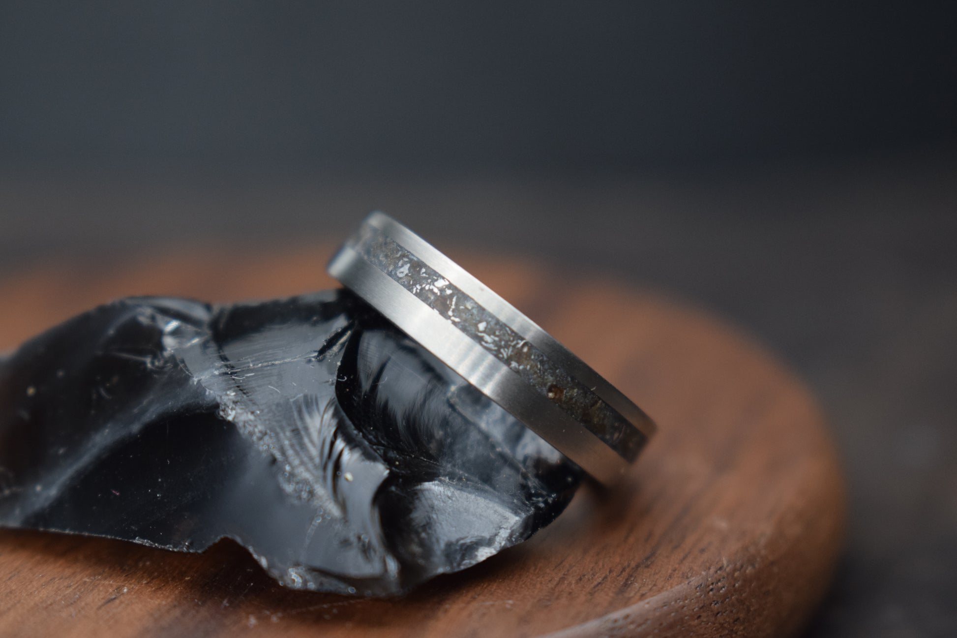 Titanium Meteorite Inlay Ring - True North Forge