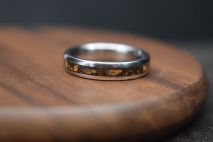 Titanium Dinosaur Fossil Inlay Ring