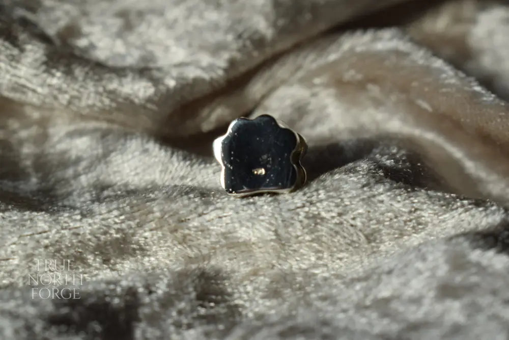 Pandora-style silver charm with paw print design and ashes inside
