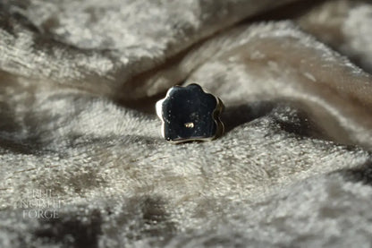 Pandora-style silver charm with paw print design and ashes inside