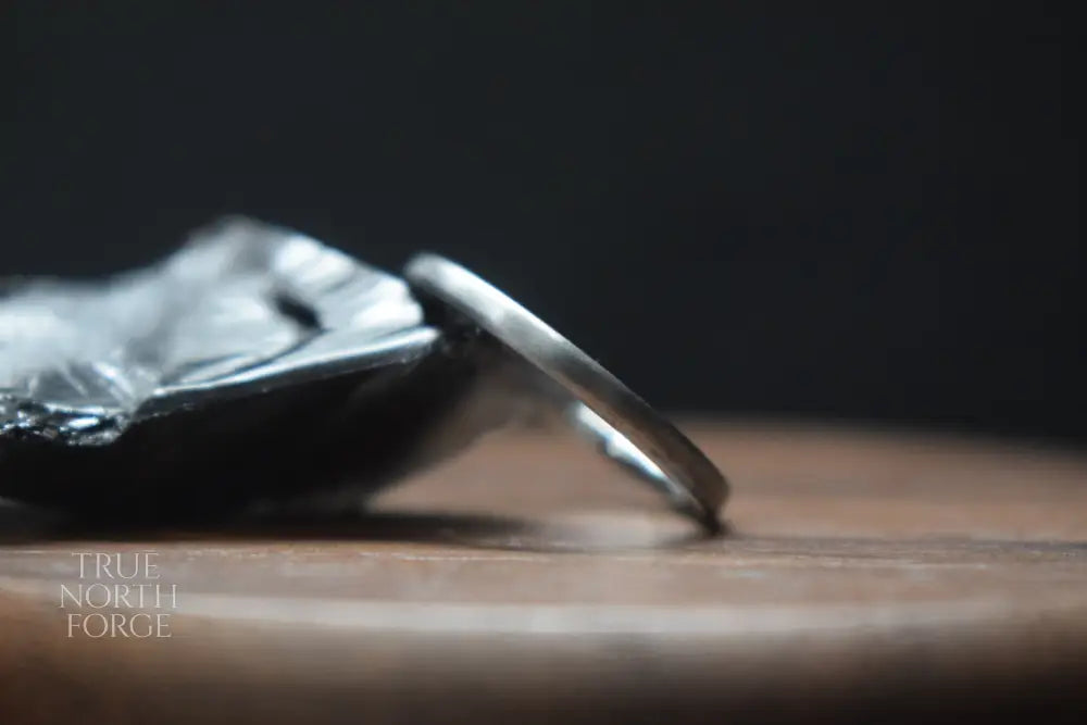 Slim Titanium Satin Court Shape Ring - True North Forge