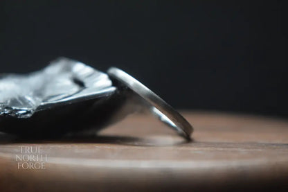 Slim Titanium Satin Court Shape Ring - True North Forge