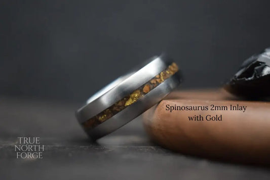 Titanium Dinosaur Fossil Inlay Ring - True North Forge