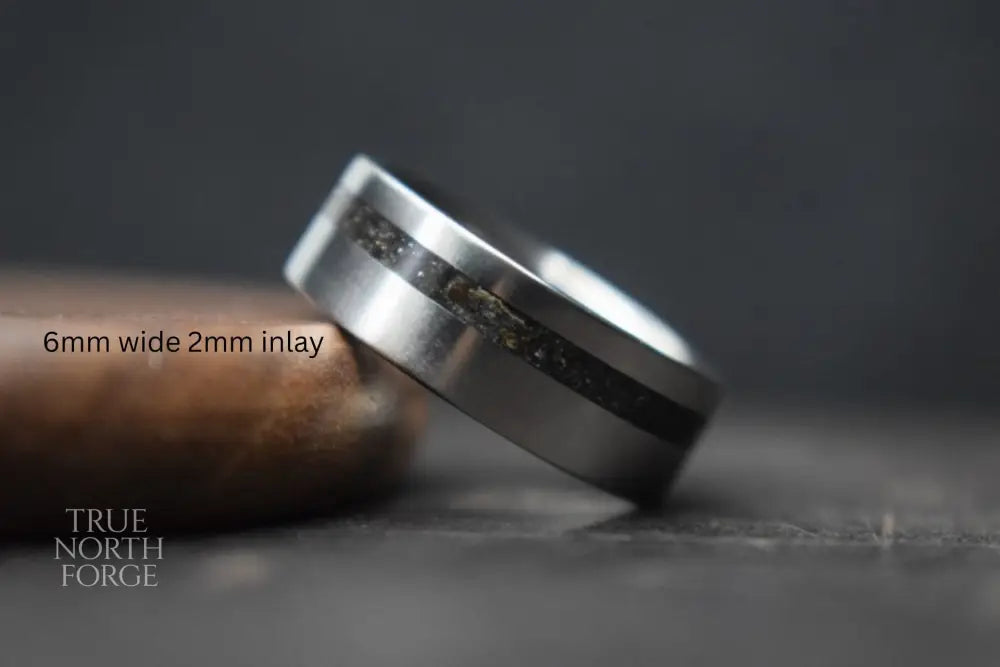Titanium Meteorite Inlay Ring - True North Forge