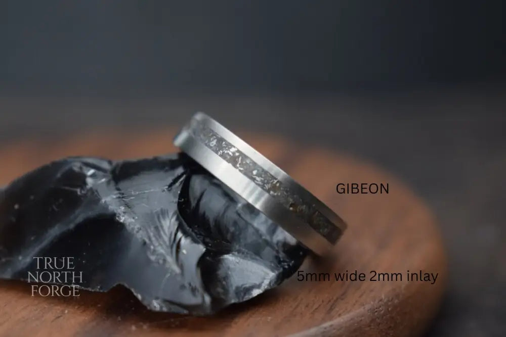 Titanium Meteorite Inlay Ring - True North Forge