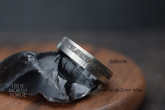 Titanium Meteorite Inlay Ring - True North Forge