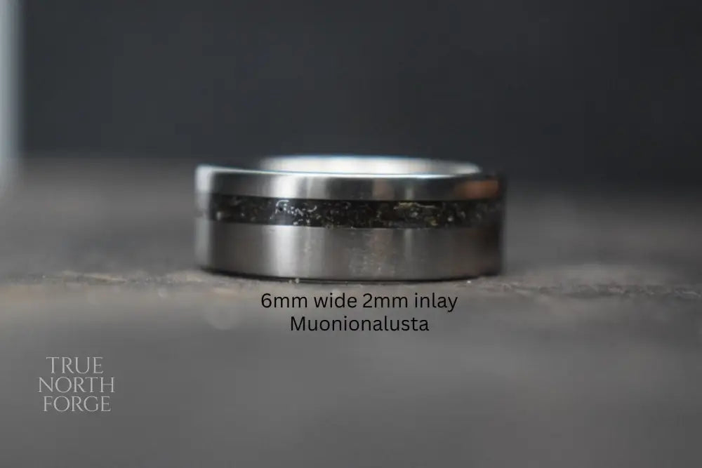 Titanium Meteorite Inlay Ring - True North Forge